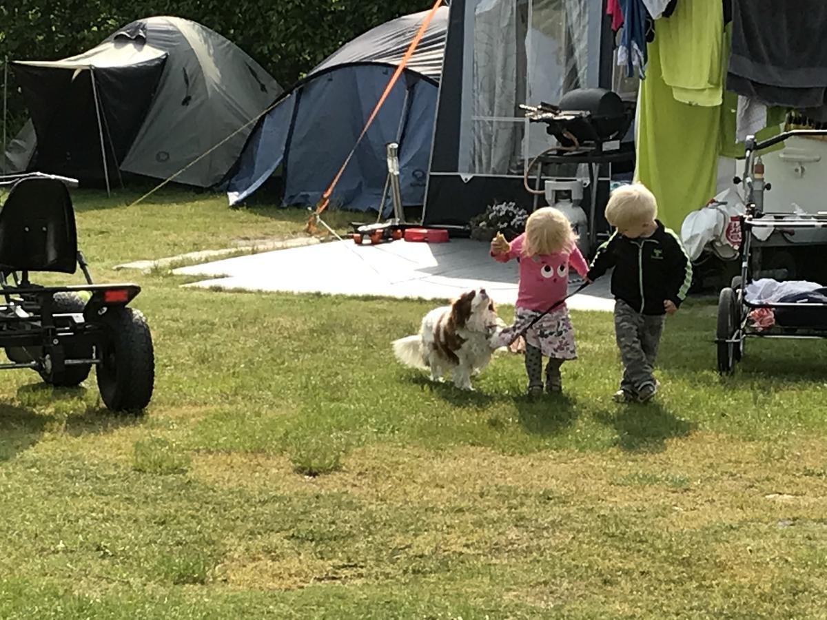 Vorbasse Camping المظهر الخارجي الصورة